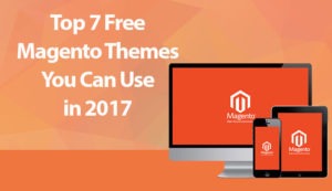 main image-magento themes