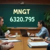 Is Mngt 6320.795 Easy? The Holistic Study